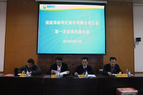 羅聯(lián)河：公司成功召開工會(huì)第一次會(huì)員代表大會(huì)（圖為大會(huì)現(xiàn)場(chǎng)）.jpg